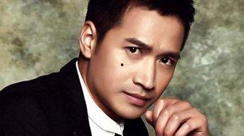 何晟铭个人资料电视剧,从古装剧王子到实力派演员的华丽蜕变